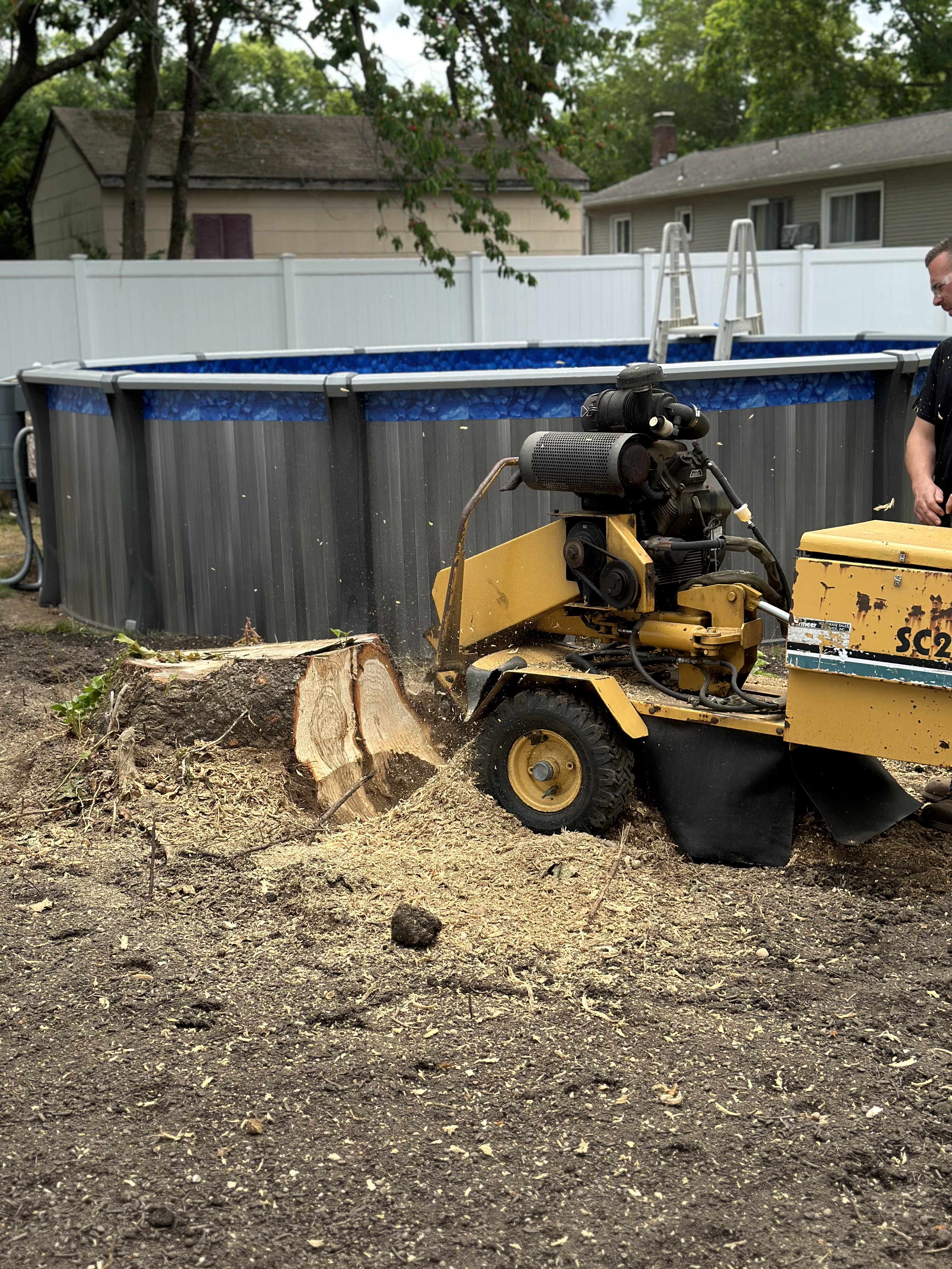 Grinding an oak stump next to an above-ground pool