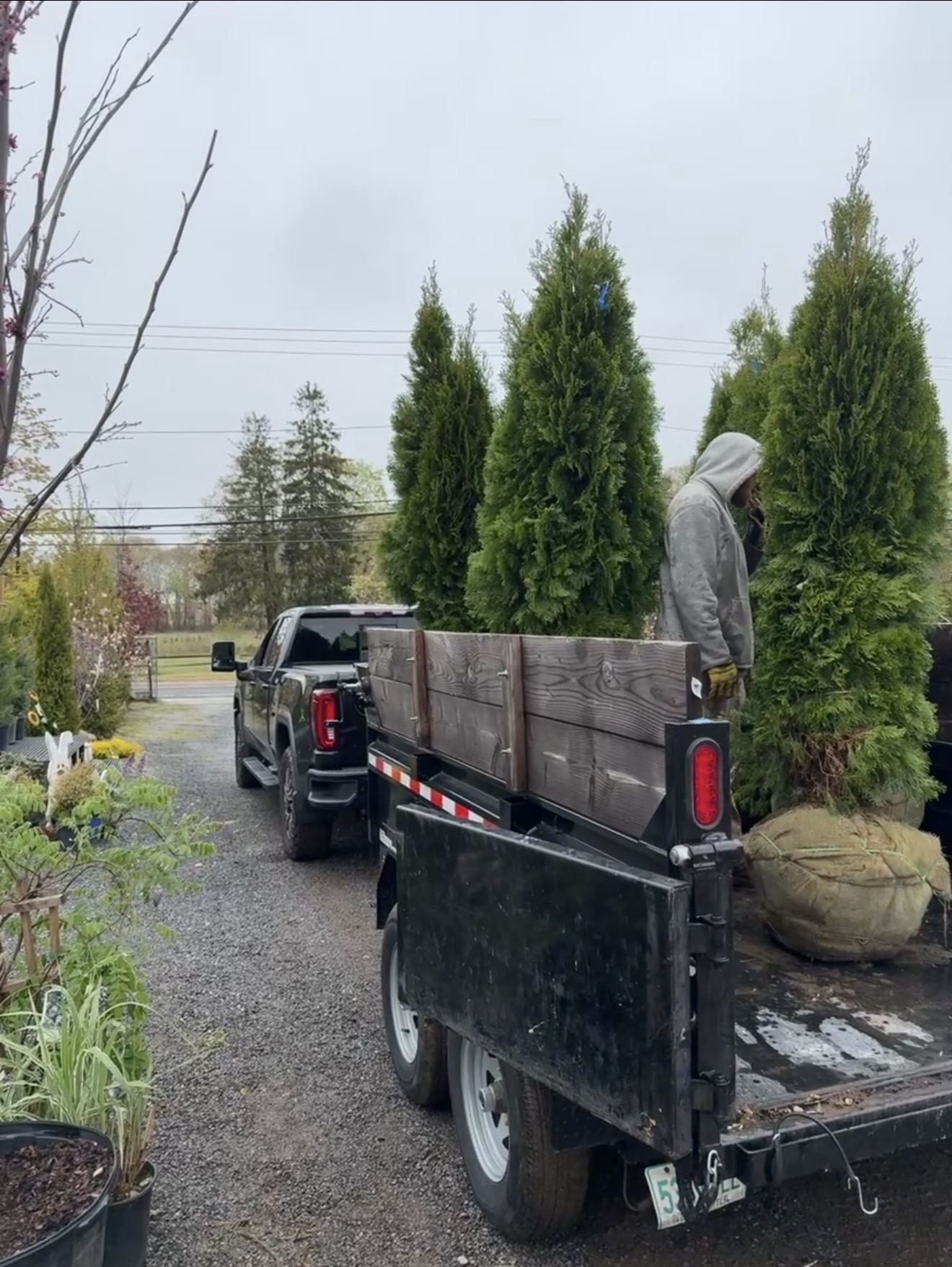 Hauling trees and brush
