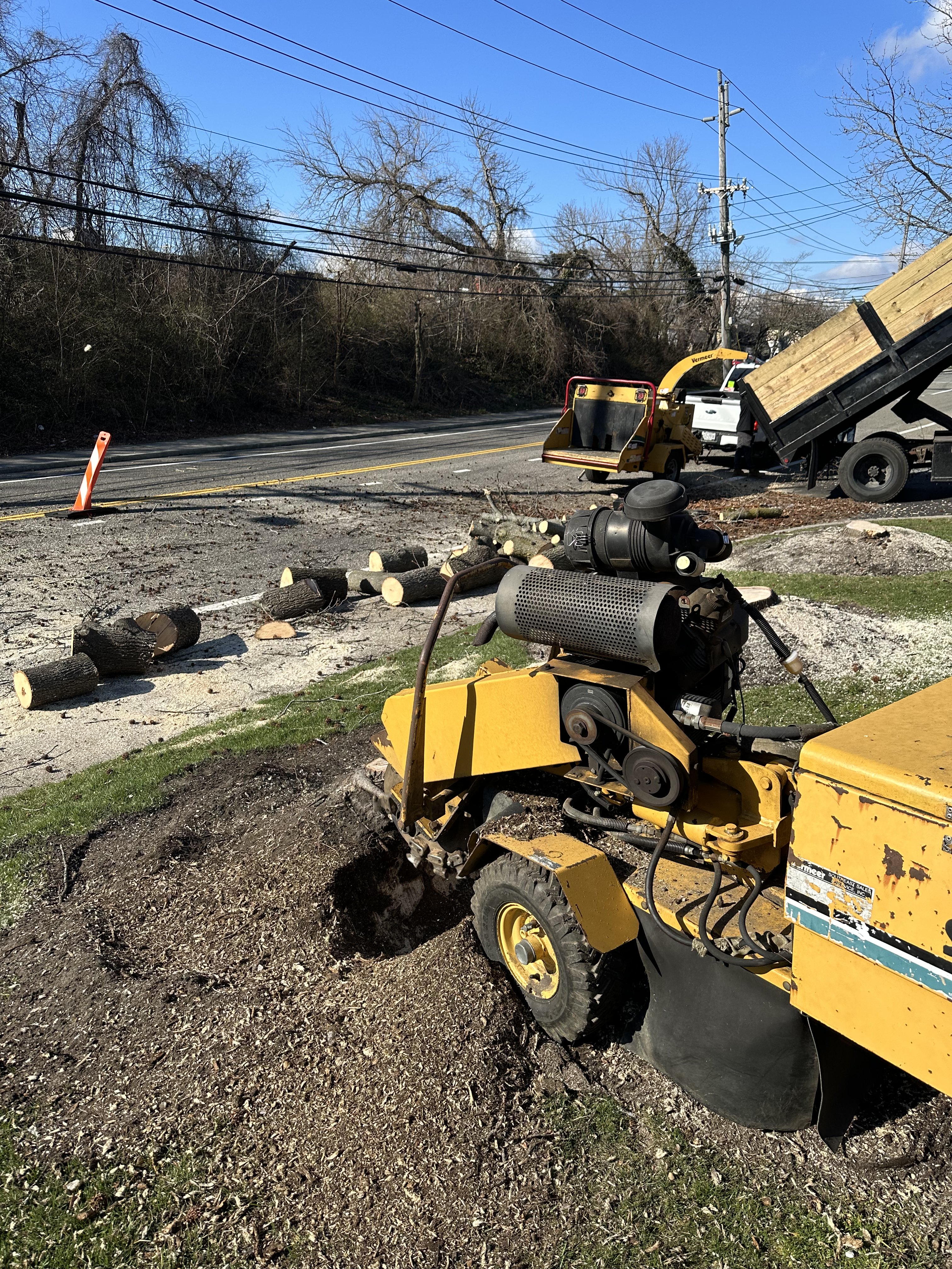 East End Stump & Dump crew on the job