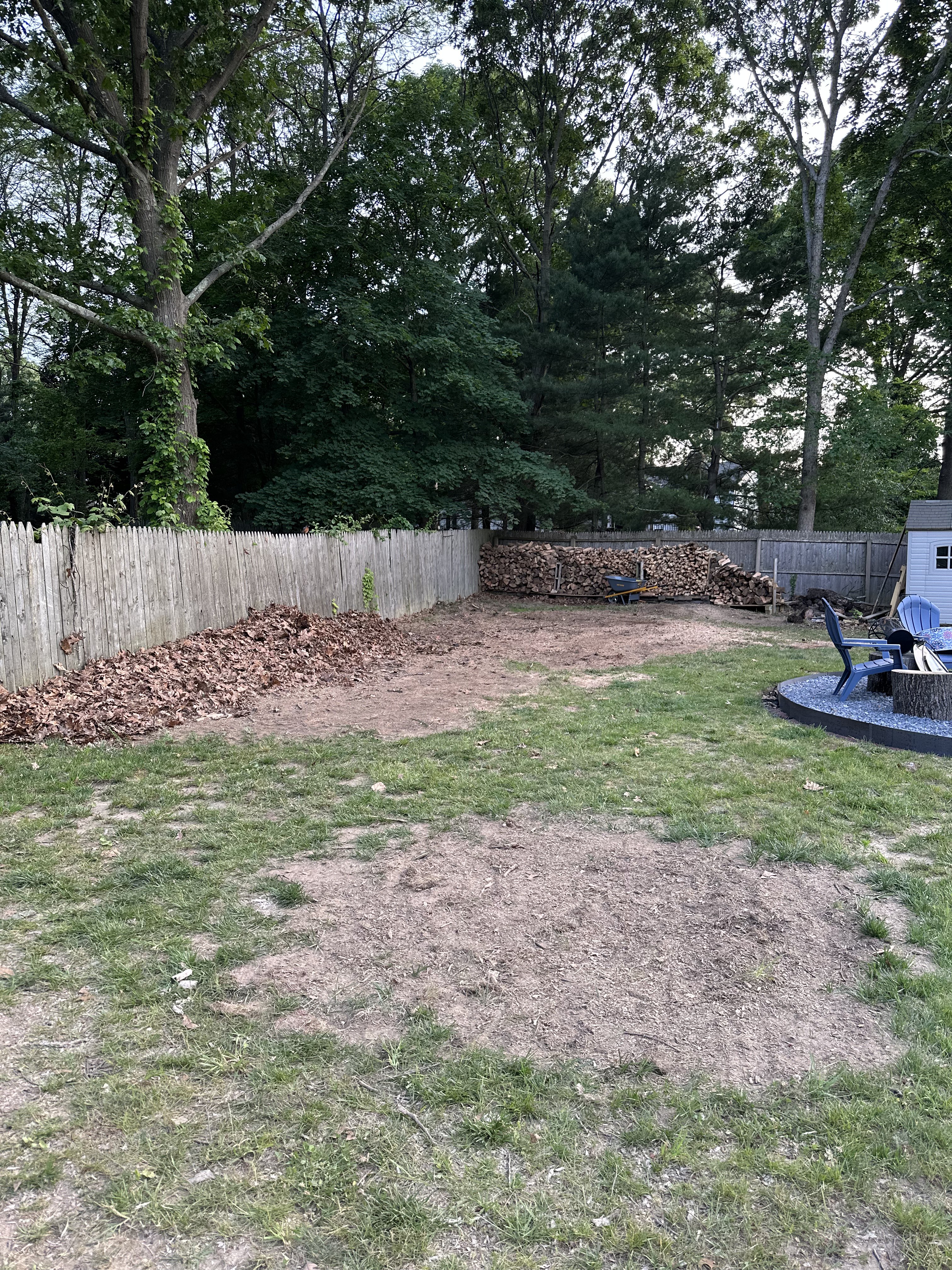 After — Finished cleanup