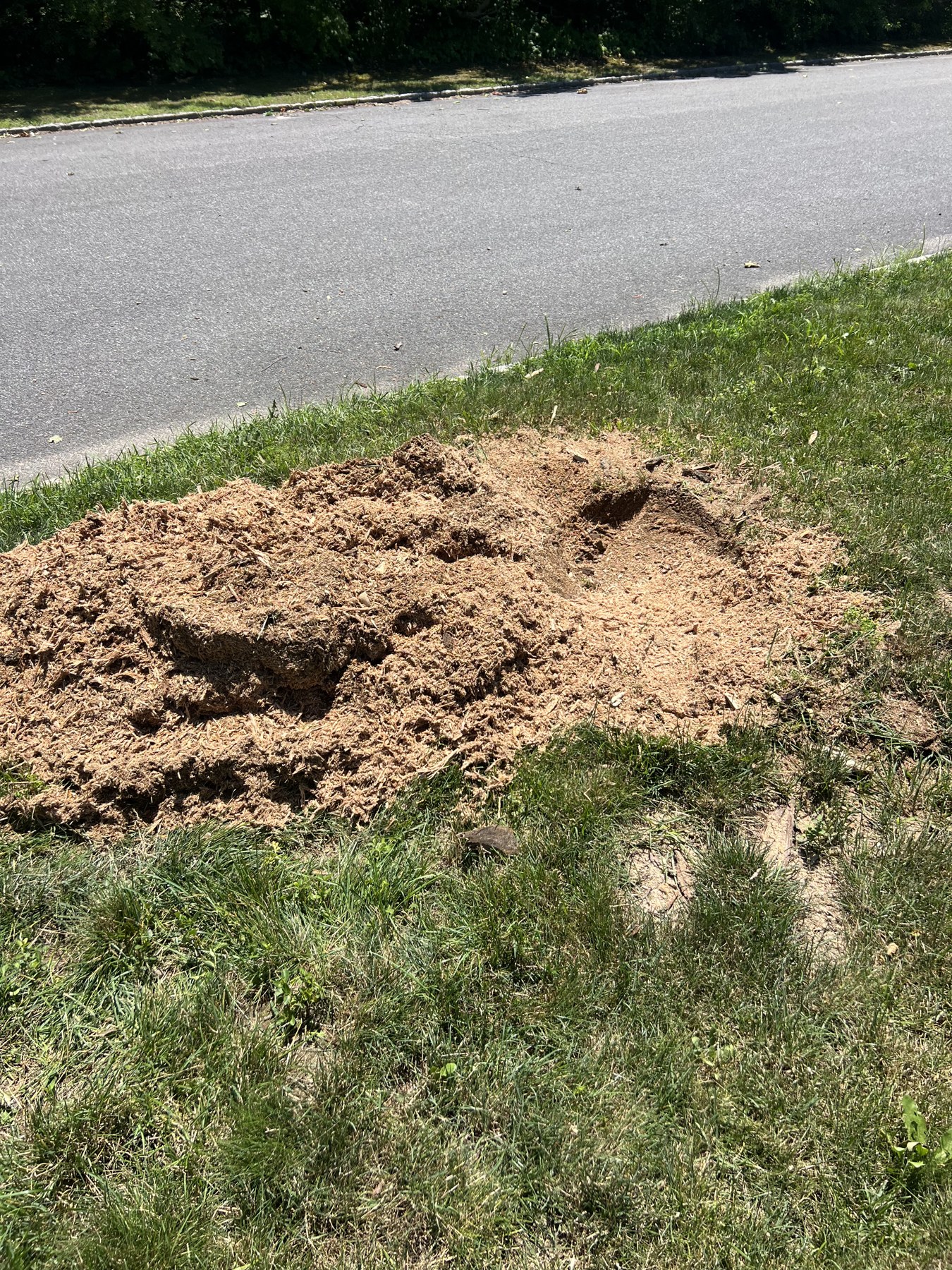 Roadside stump grind-down — after